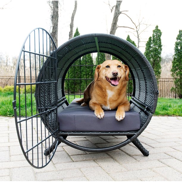 微信图片_20230214144059