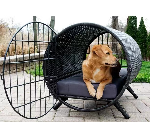 微信图片_20230214144049